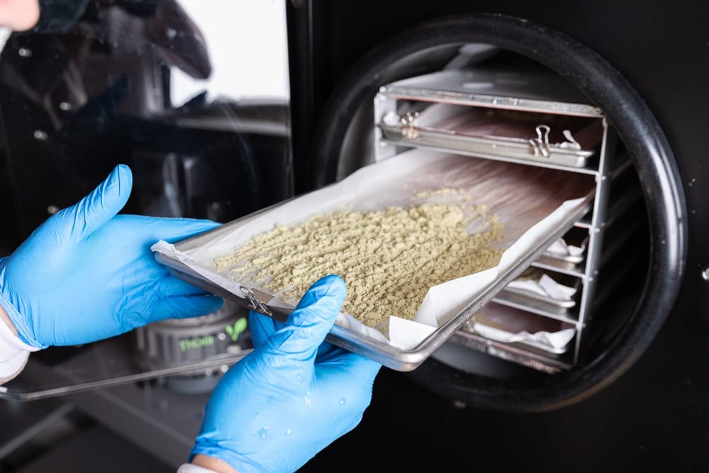 Freeze Drying Time: The Secret to Perfect Bubble Hash